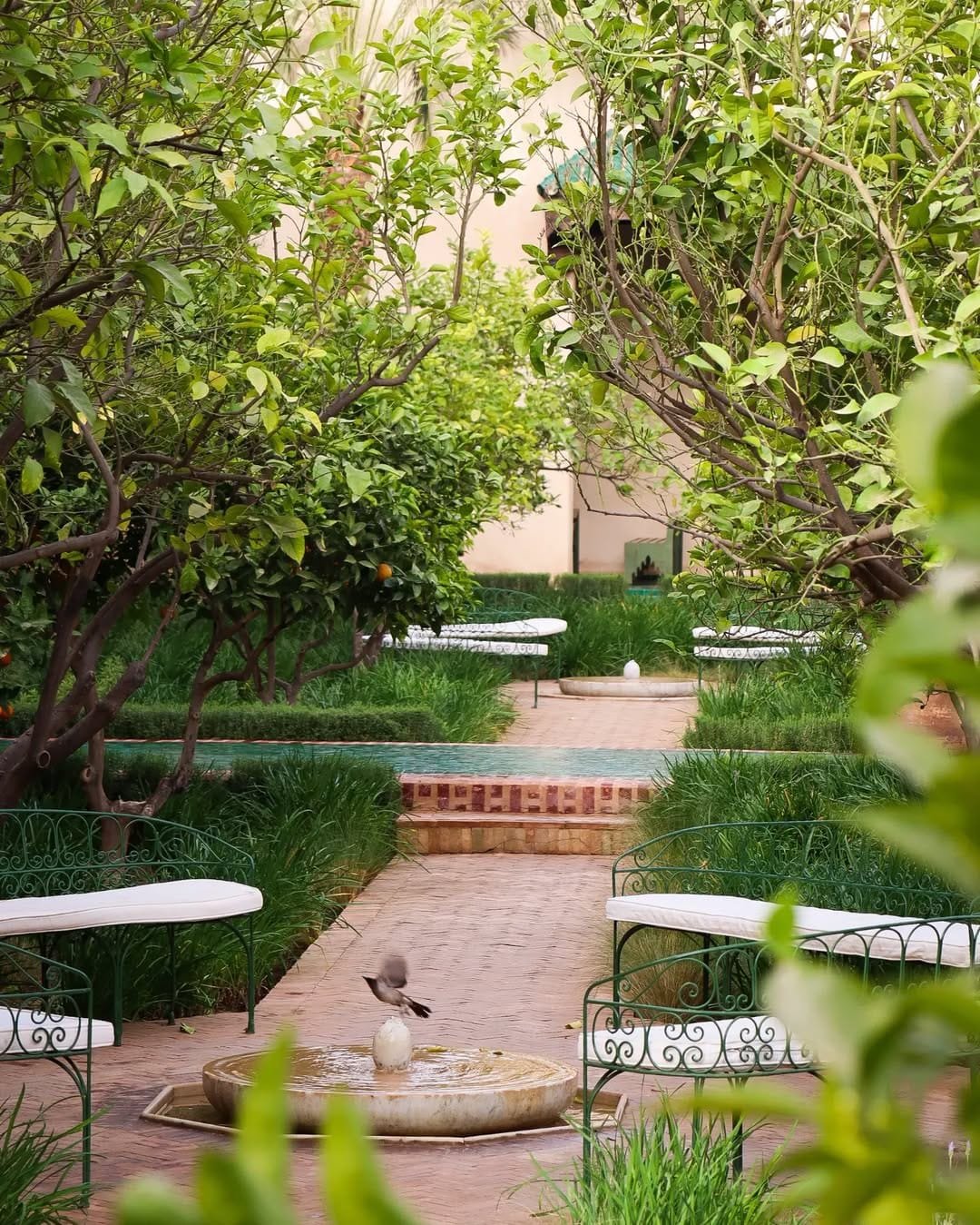 Forget the Jardin Majorelle: This Secret Garden in Marrakech Will Captivate You