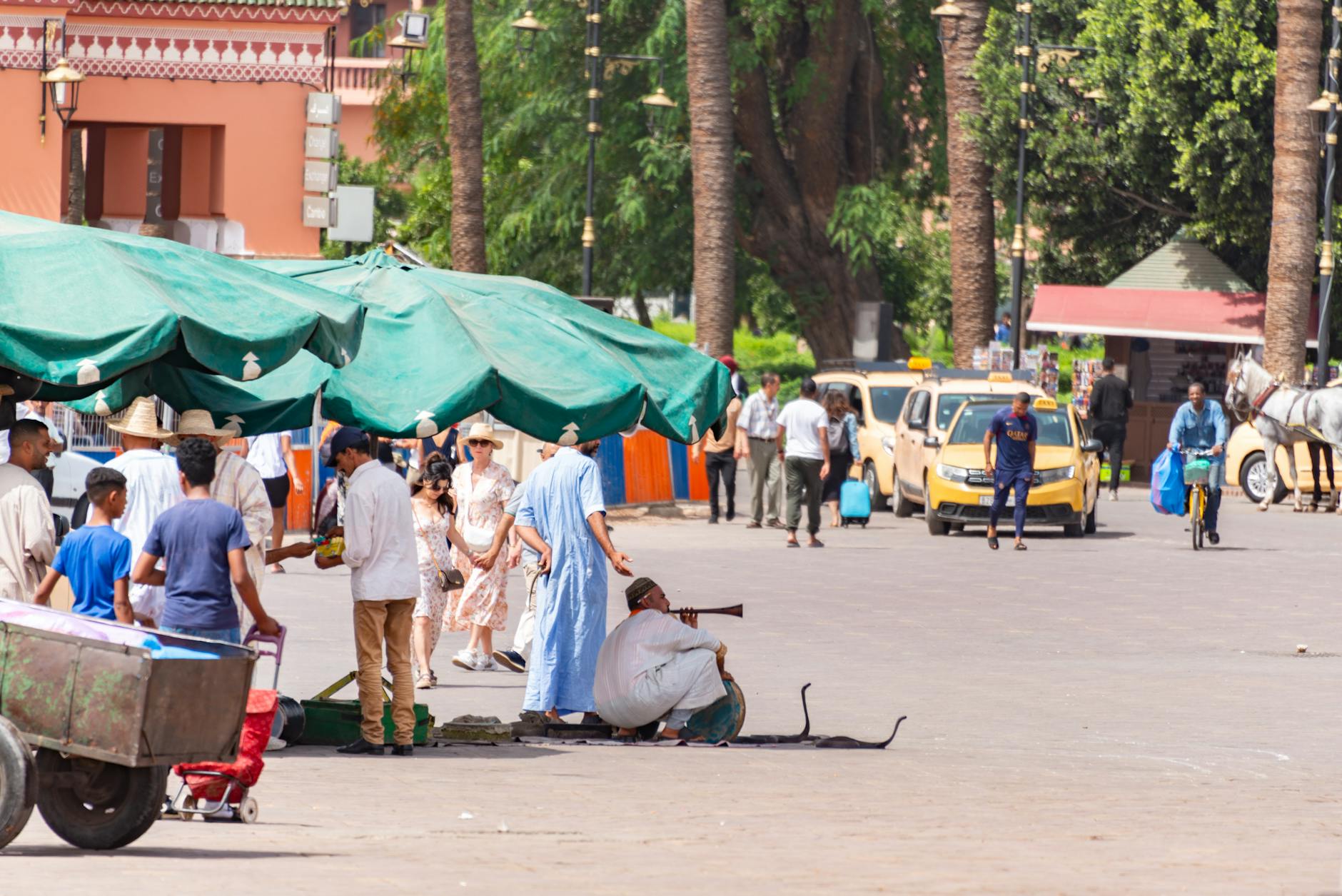 A friendly local showing travelers around the historic medina with details on private tour guide marrakech cost